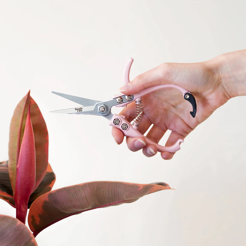 Hand holding pink-handled scissors with a plant in the background