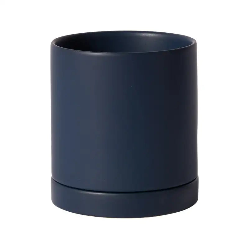 Navy blue cylindrical planter on a white background