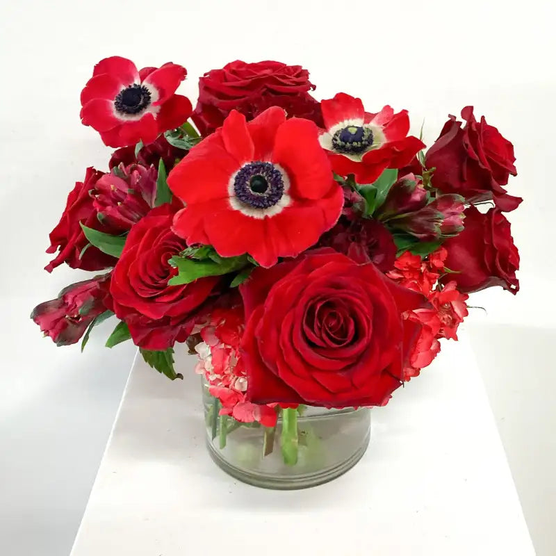 Bouquet of red roses and red anemones in a clear vase on a white background