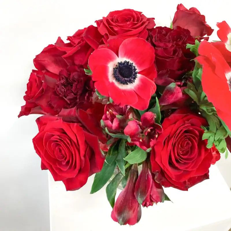 Bouquet of red flowers including roses and anemones on a white background