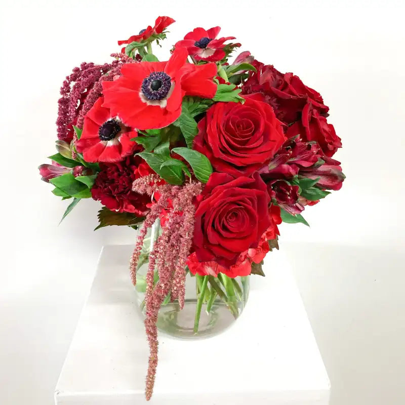 Bouquet of red flowers including roses and anemones in a clear vase on a white background