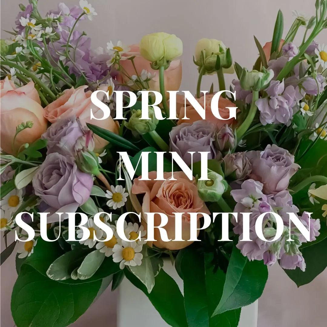 pastel flower arrangement behind the words Spring Mini Subscription