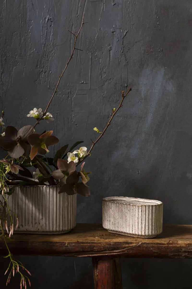 Two ceramic planters with plants on a wooden surface against a dark wall.