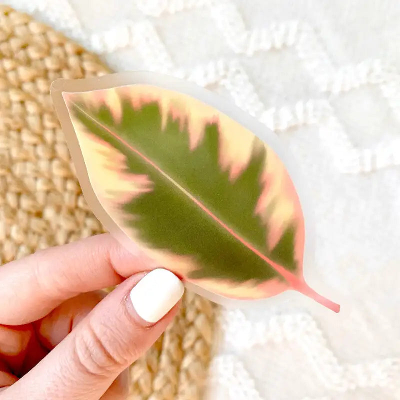 Hand holding a leaf-shaped mirror with pink and green reflection on a textured surface.
