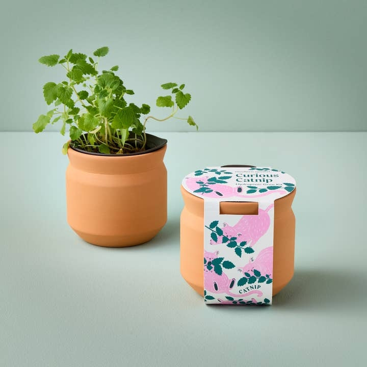 Tiny Terracotta Grow Kit Curious Catnip | Mini Garden Grow Kit