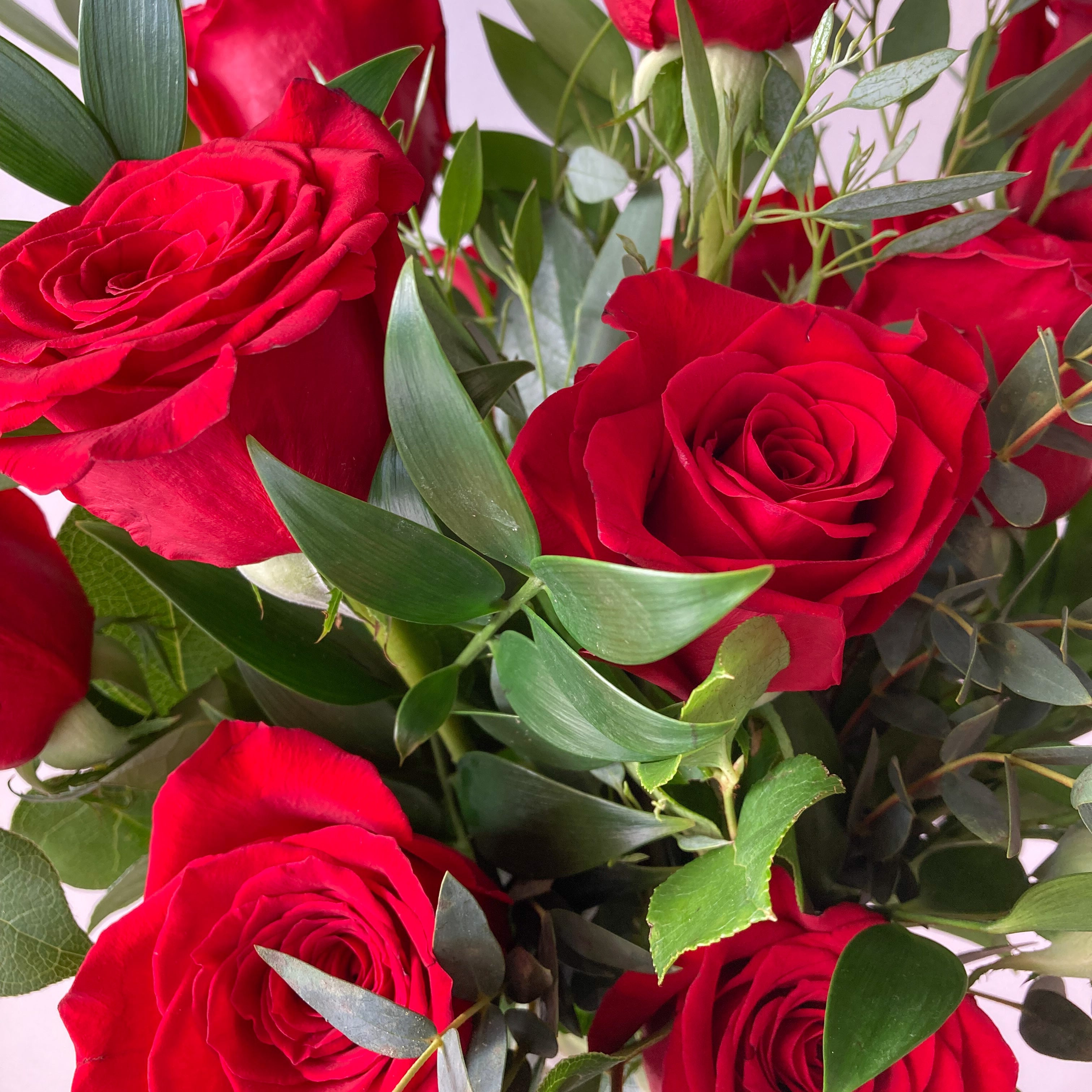 Bouquet of red roses with green leaves on a light background