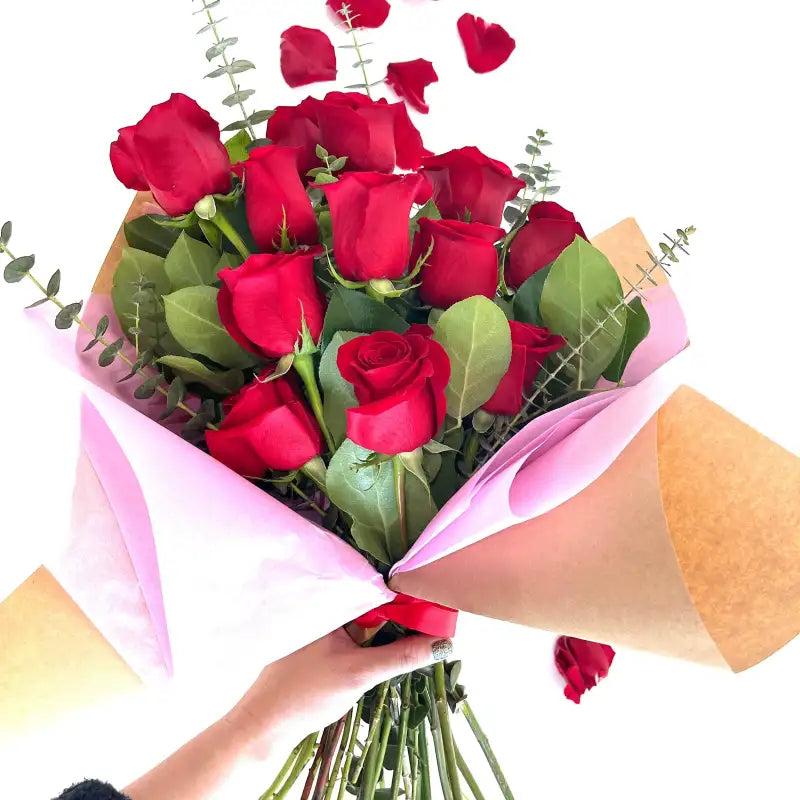Bouquet of red roses with pink wrapping paper held by a hand on a white background