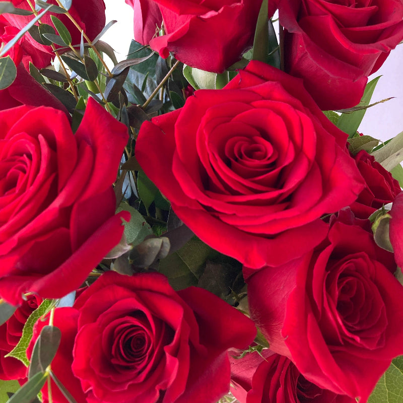 Bouquet of red roses with green leaves on a light background