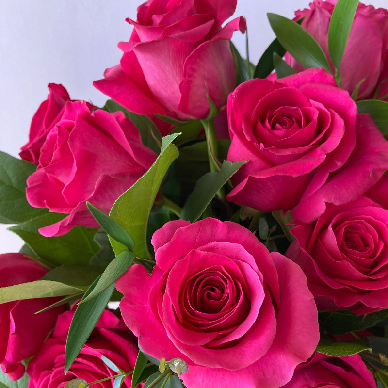 Bouquet of bright pink roses with green leaves on a light background