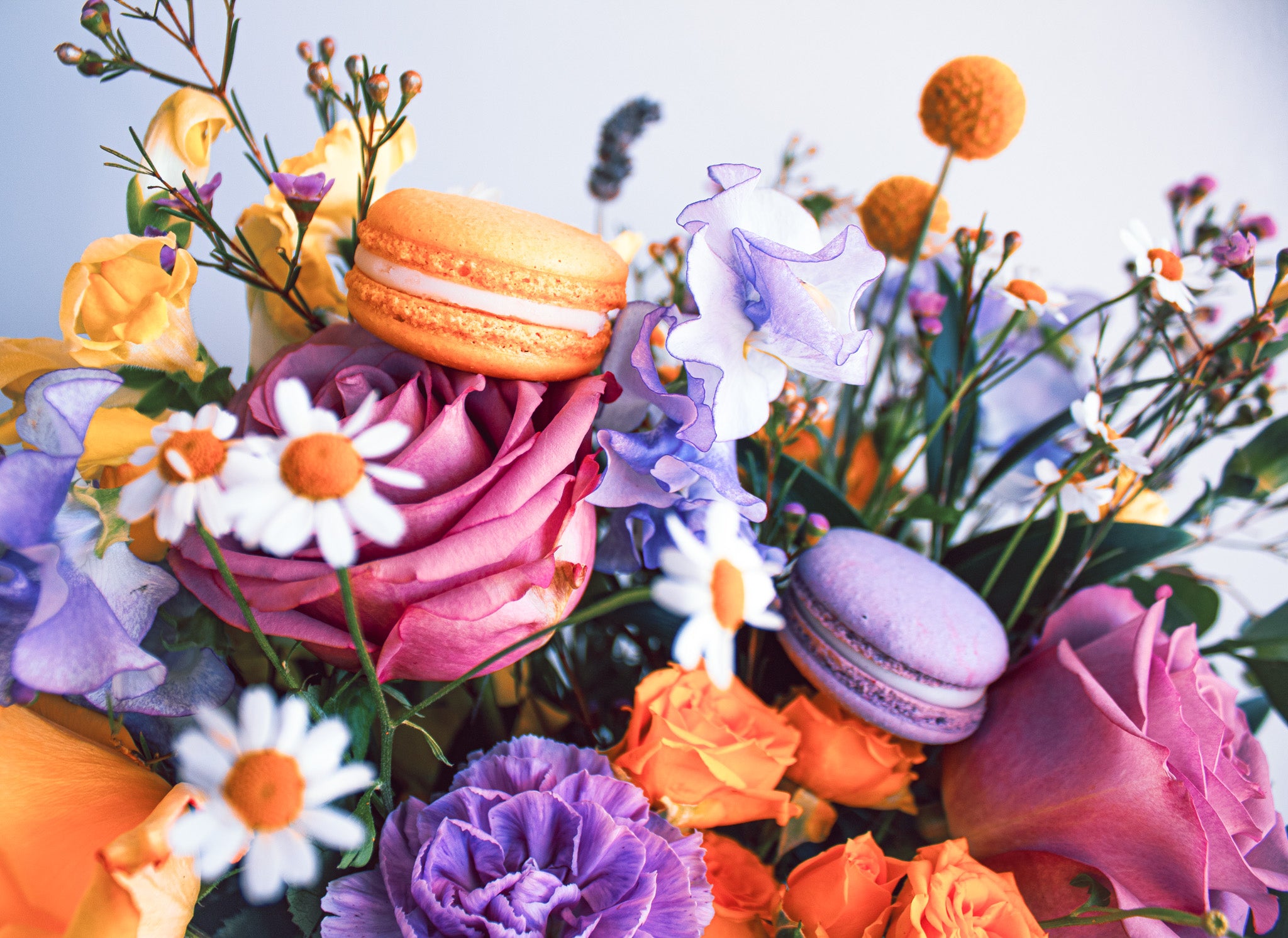 Audrey's Macarons 🌼 Mother's Day Collection | Gift Box of 6