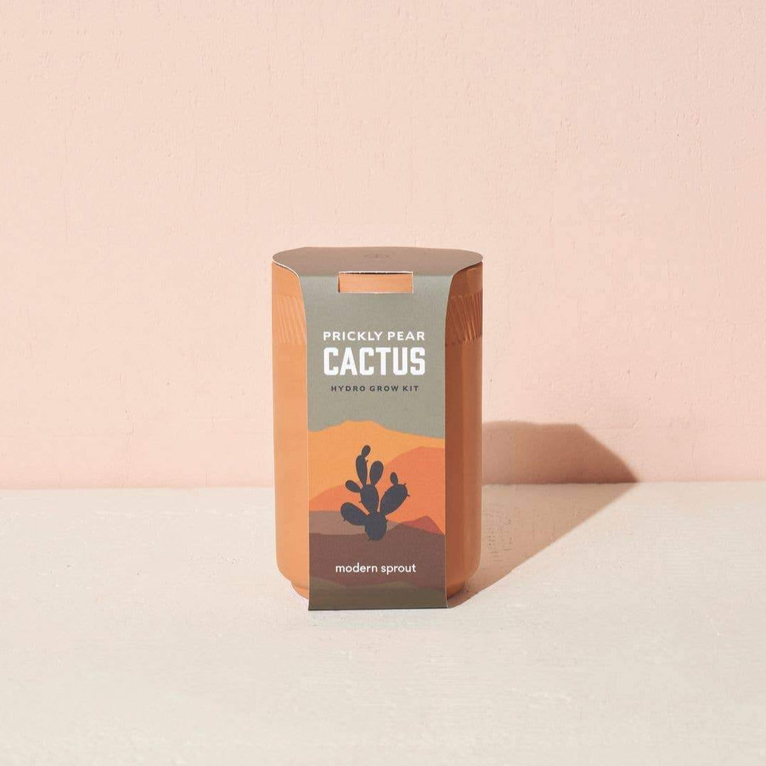 Terracotta Kit - Cactus | DIY Kits - Lizzie Bee's Flower Shoppe