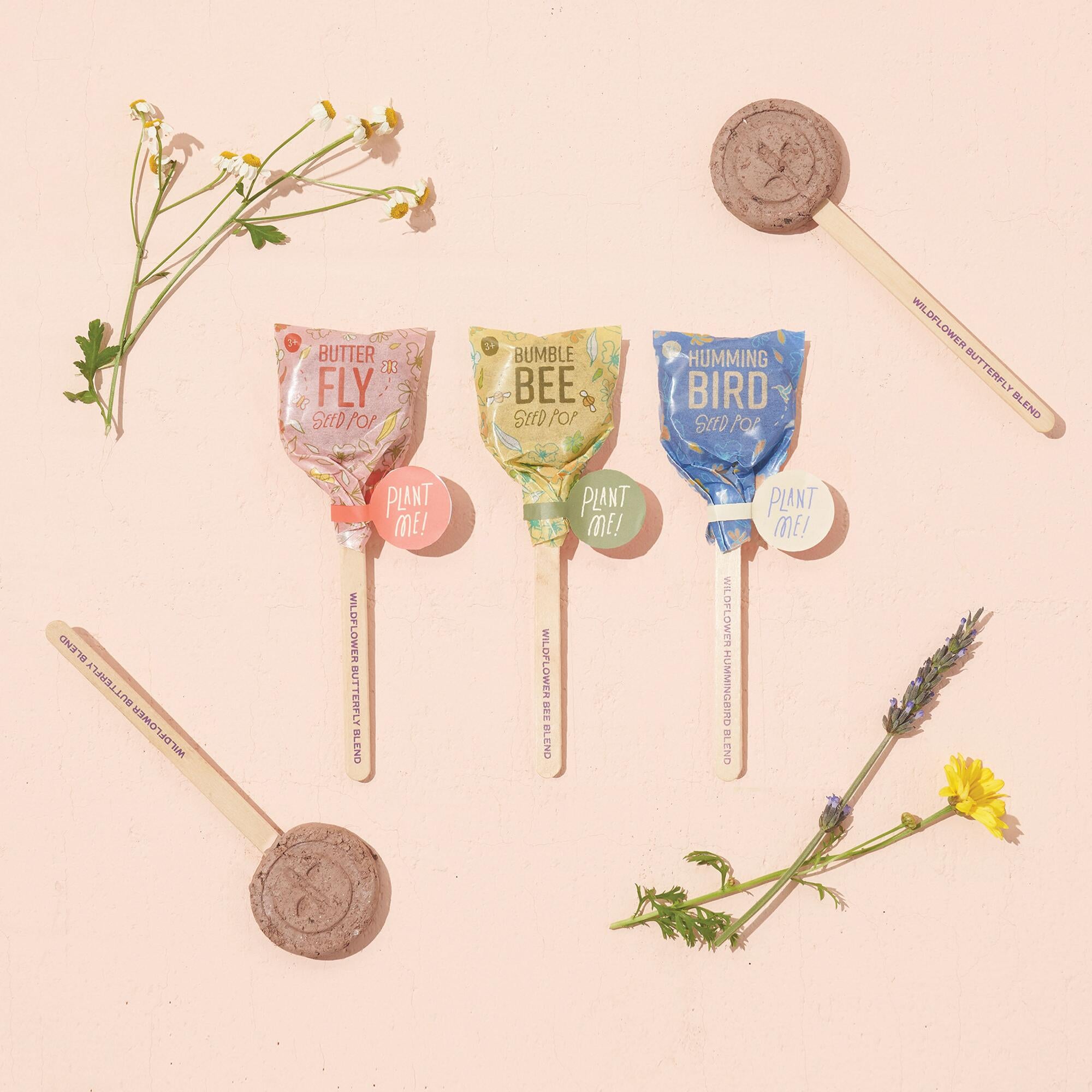 Pollinator Seed Pop | Sweets - Lizzie Bee's Flower Shoppe