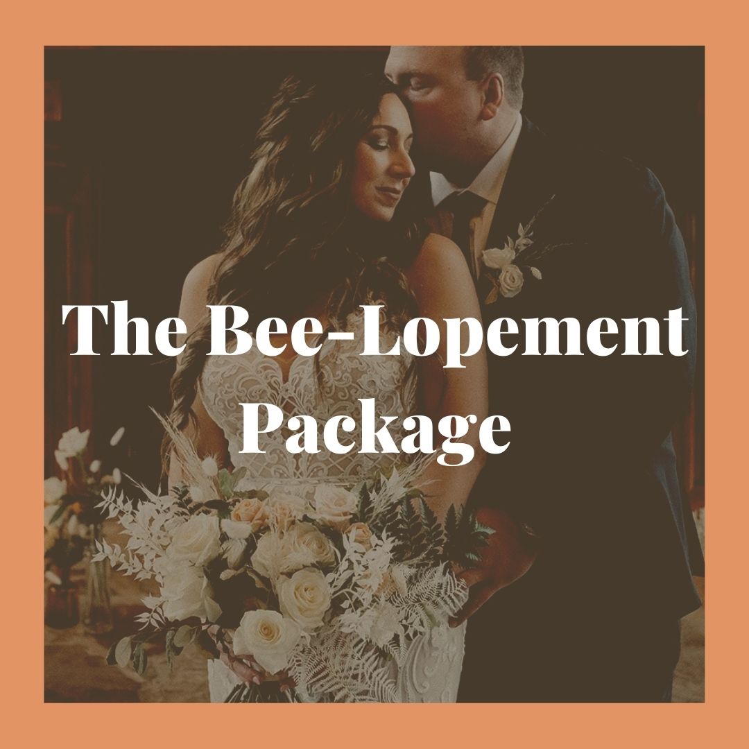 Hive Collection: The Bee-Lopement Package in Boho Honey |  - Lizzie Bee's Flower Shoppe