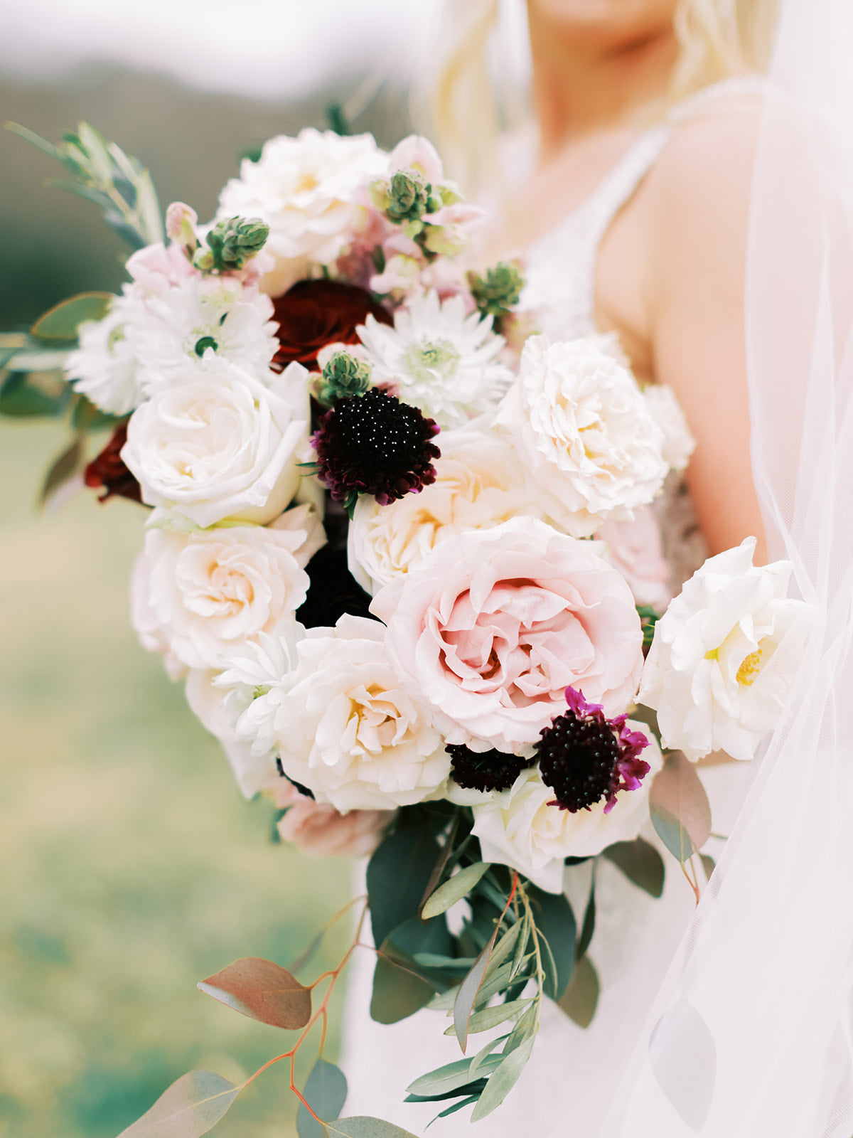 Hive Collection: The Big Bash Package in Royal Romance |  - Lizzie Bee's Flower Shoppe